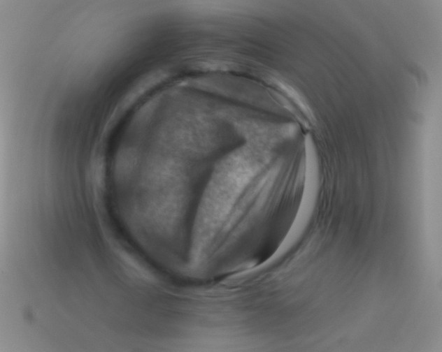 X0000113590722200910161842
