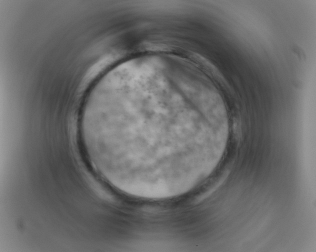 X0000113590725200910161842
