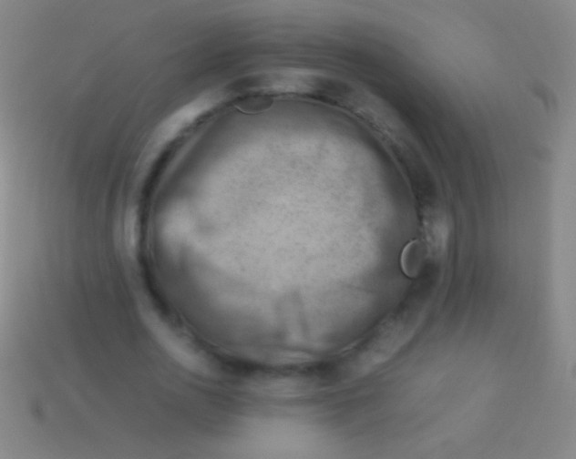 X0000113590726200910161842