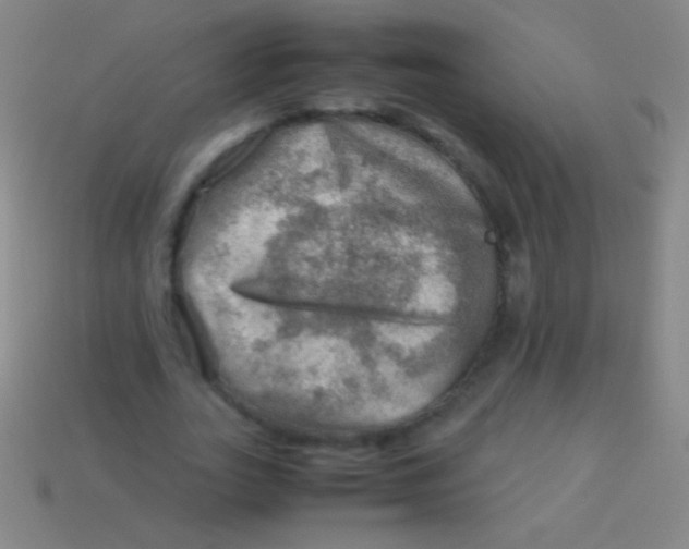 X0000113590727200910161842