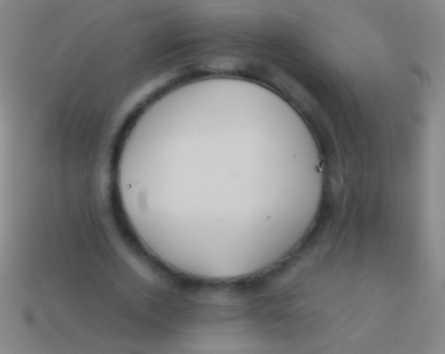 X0000113590728200910161842