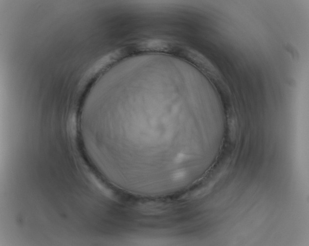 X0000113590729200910161842