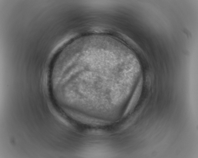X0000113590730200910161842