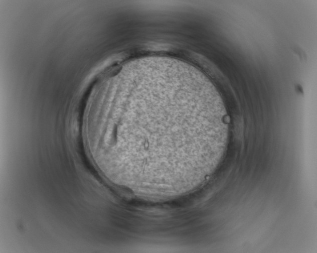 X0000113590731200910161842