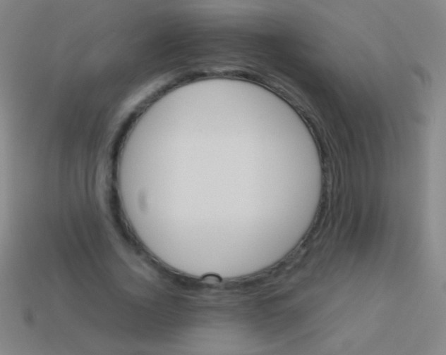 X0000113590732200910161842
