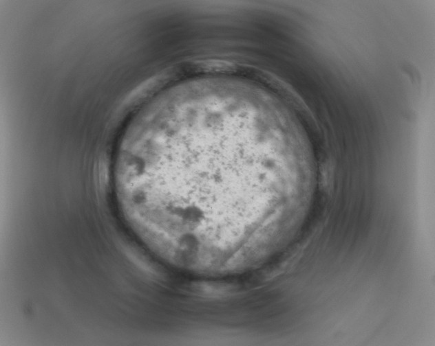 X0000113590733200910161842