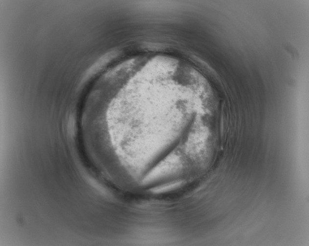 X0000113590734200910161842