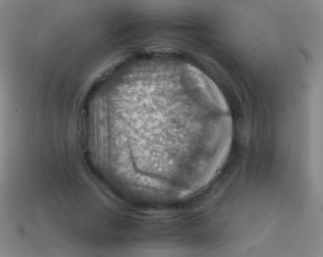 X0000113590735200910161842