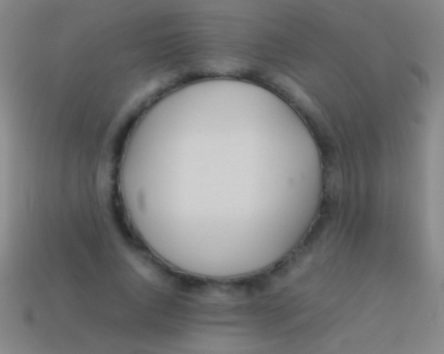 X0000113590736200910161842