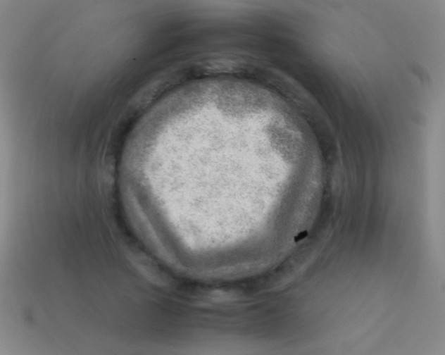 X0000113590737200910161842