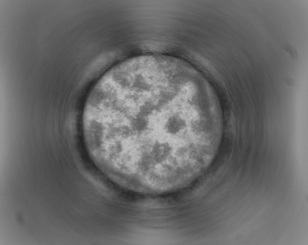 X0000113590738200910161842