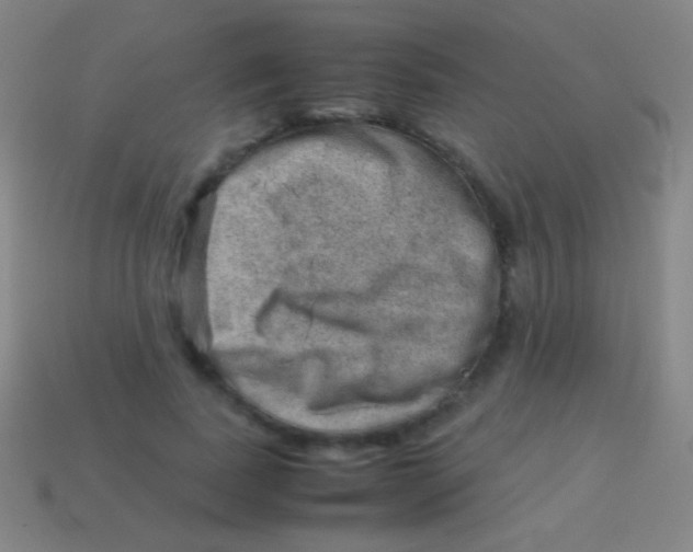 X0000113590739200910161842
