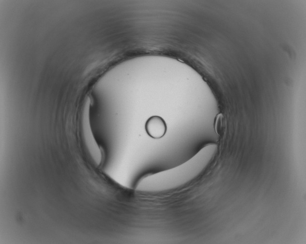 X0000113590740200910161842