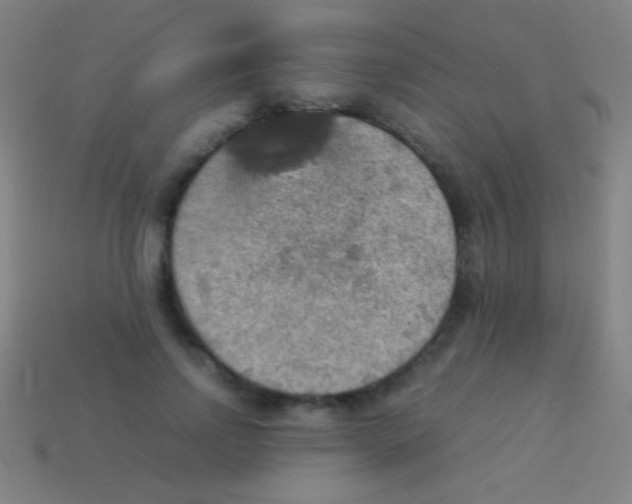 X0000113590742200910161843