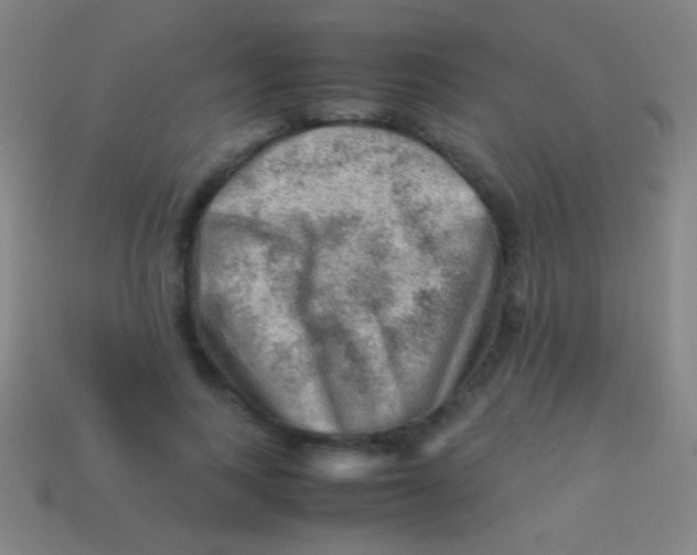 X0000113590743200910161843
