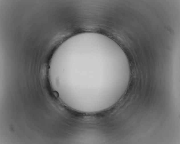 X0000113590744200910161843