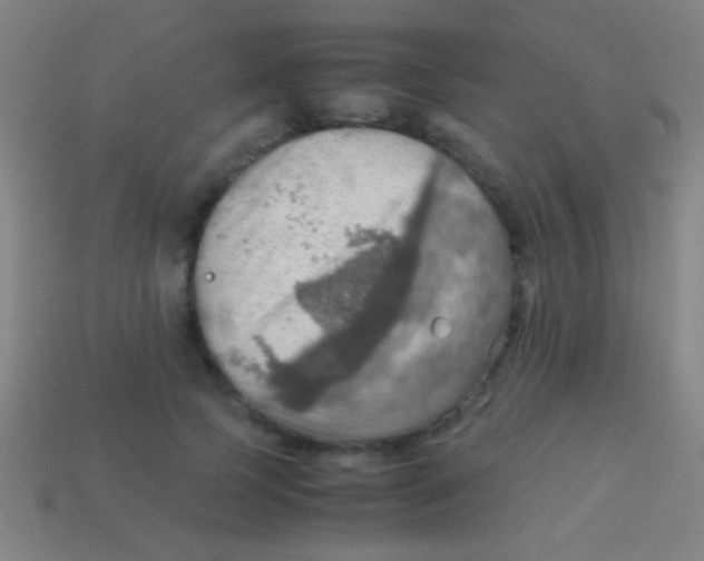 X0000113590745200910161843