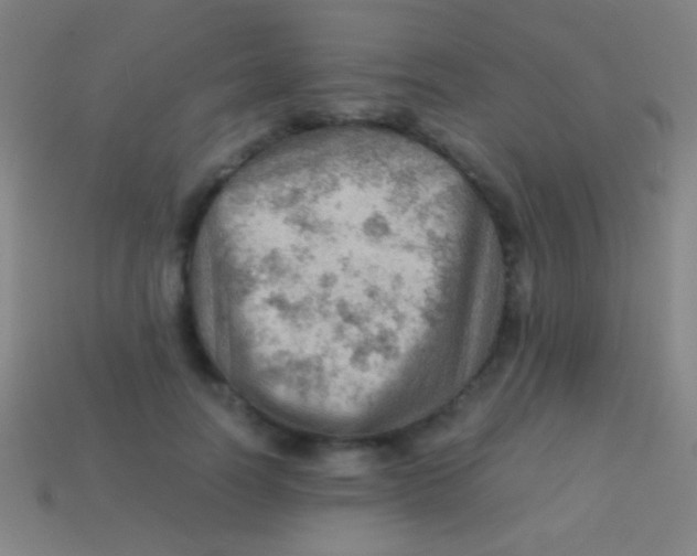 X0000113590746200910161843