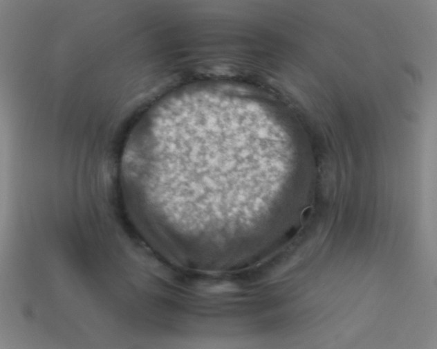 X0000113590747200910161843