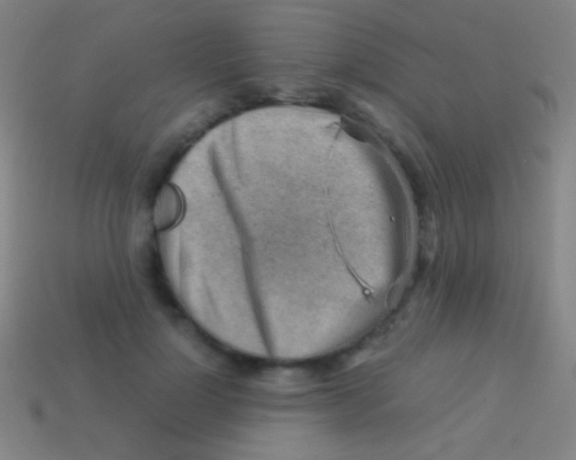 X0000113590748200910161843