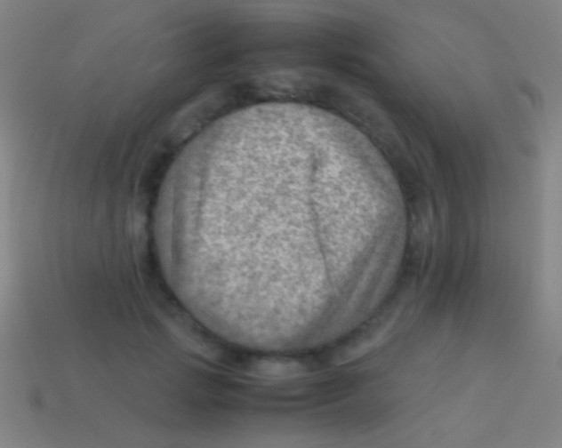 X0000113590749200910161843