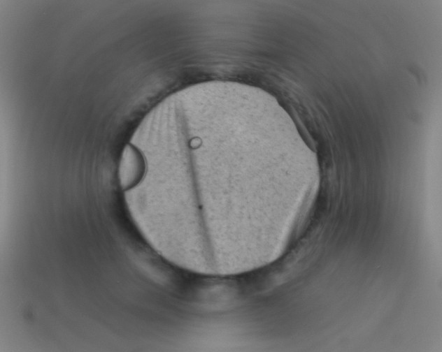 X0000113590750200910161843