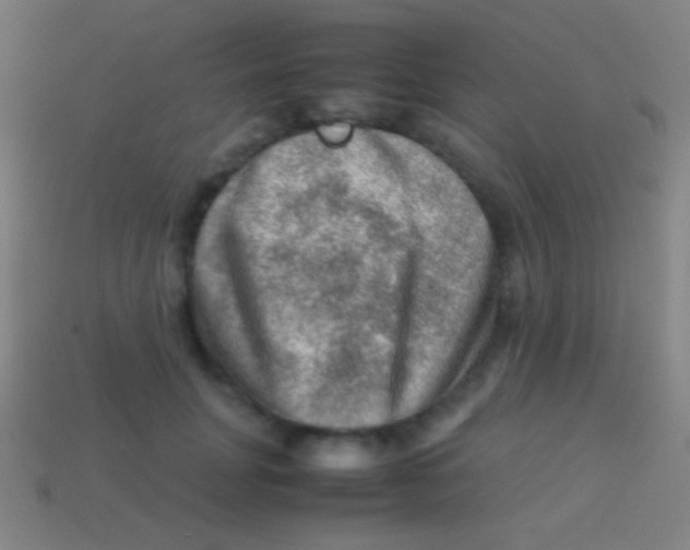 X0000113590751200910161843