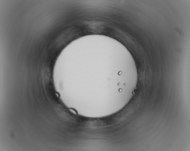X0000113590752200910161843