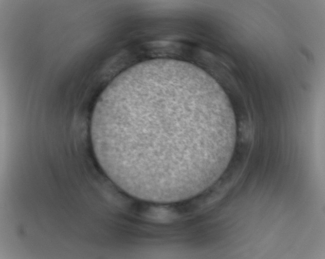 X0000113590753200910161843