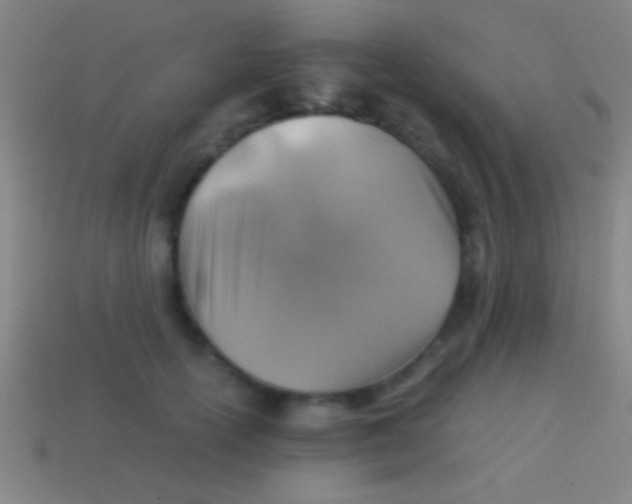 X0000113590754200910161843