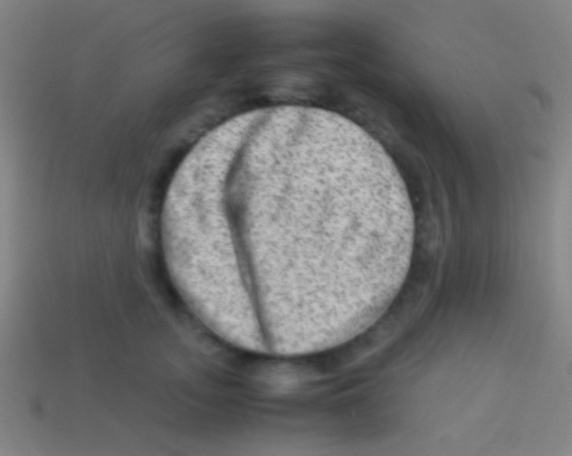 X0000113590755200910161843