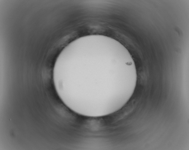 X0000113590756200910161843