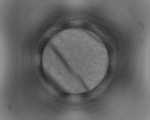 X0000113590758200910161843