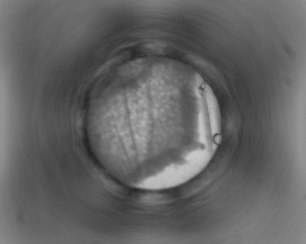 X0000113590759200910161843