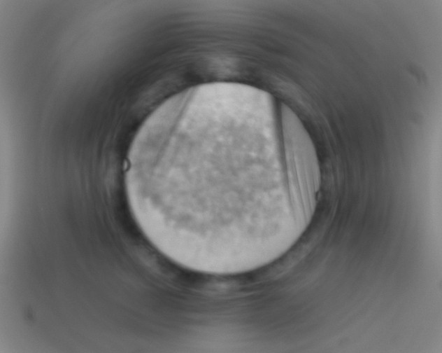 X0000113590760200910161843
