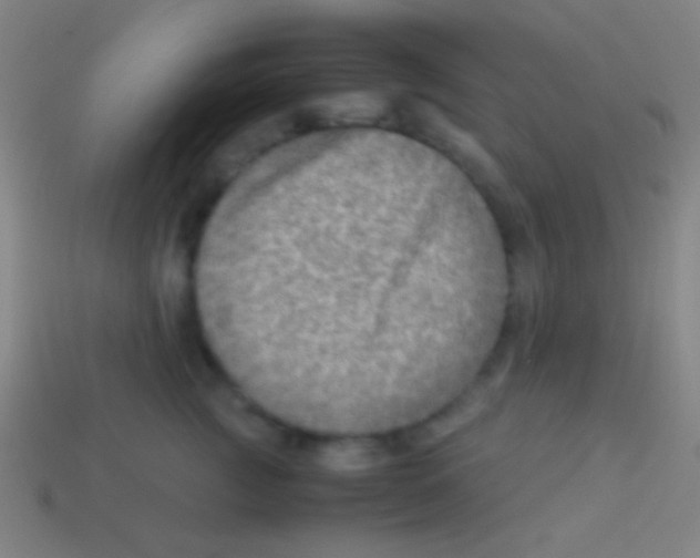 X0000113590761200910161843