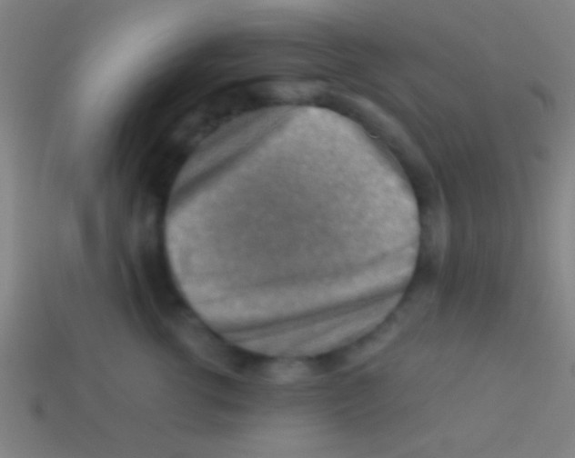 X0000113590762200910161843