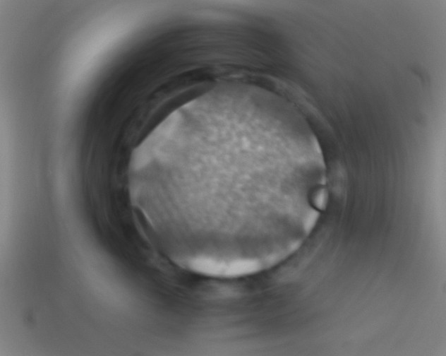 X0000113590763200910161843