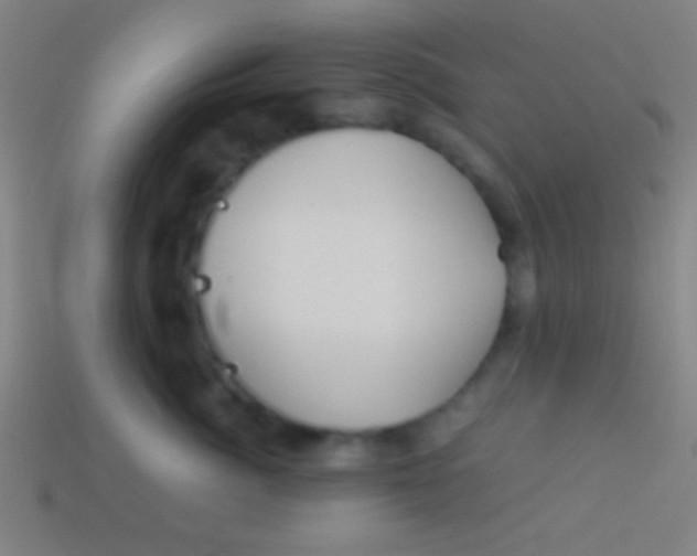 X0000113590764200910161843