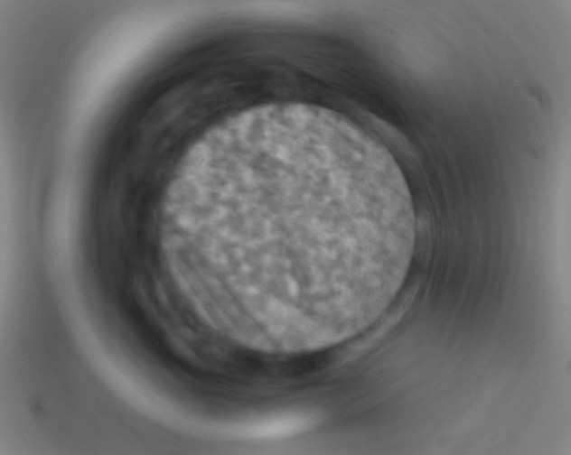 X0000113590765200910161843