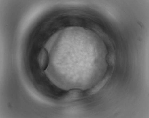 X0000113590766200910161843