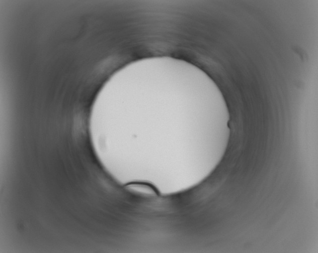 X0000113590768200910161843