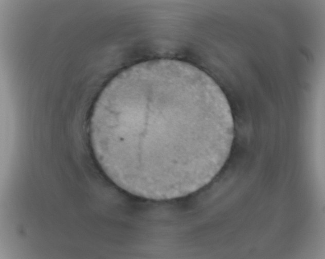 X0000113590769200910161842