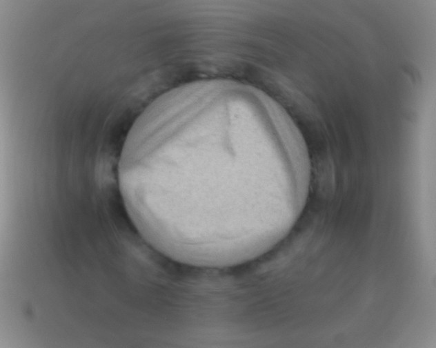 X0000113590770200910161842
