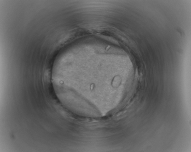 X0000113590772200910161842