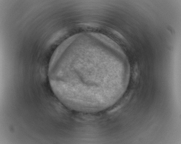 X0000113590774200910161842