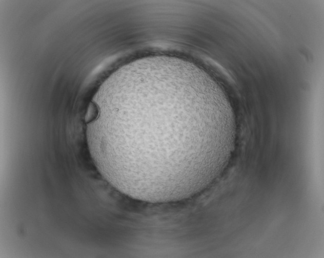 X0000113590776200910161842