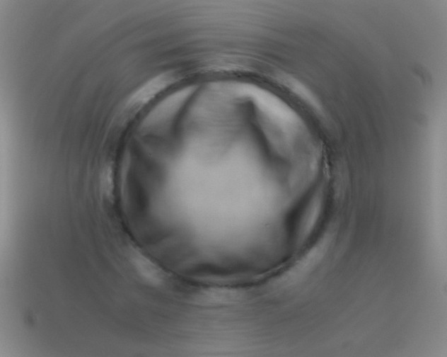 X0000113590777200910161842