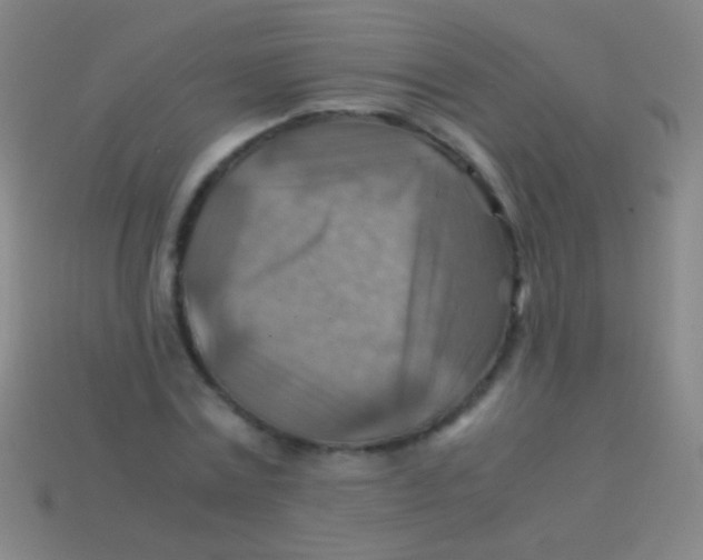 X0000113590779200910161842