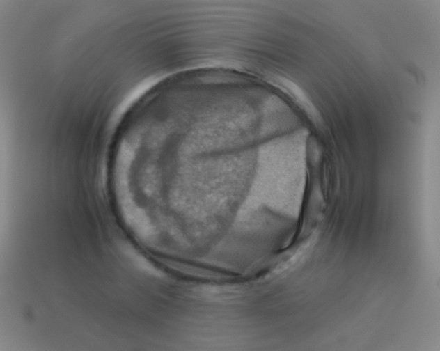 X0000113590780200910161842